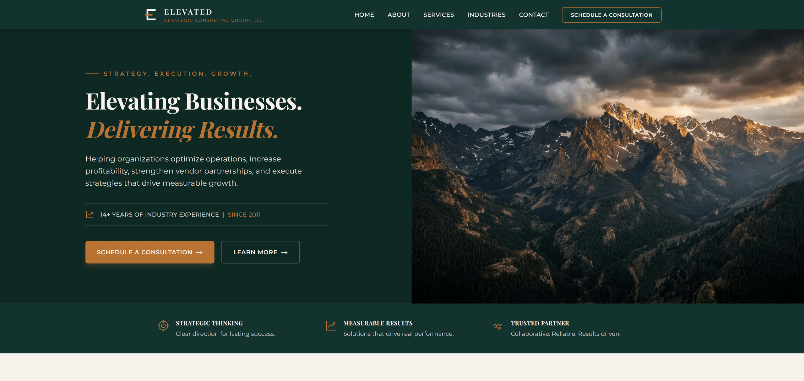 Elevated Strategic Consulting Group website